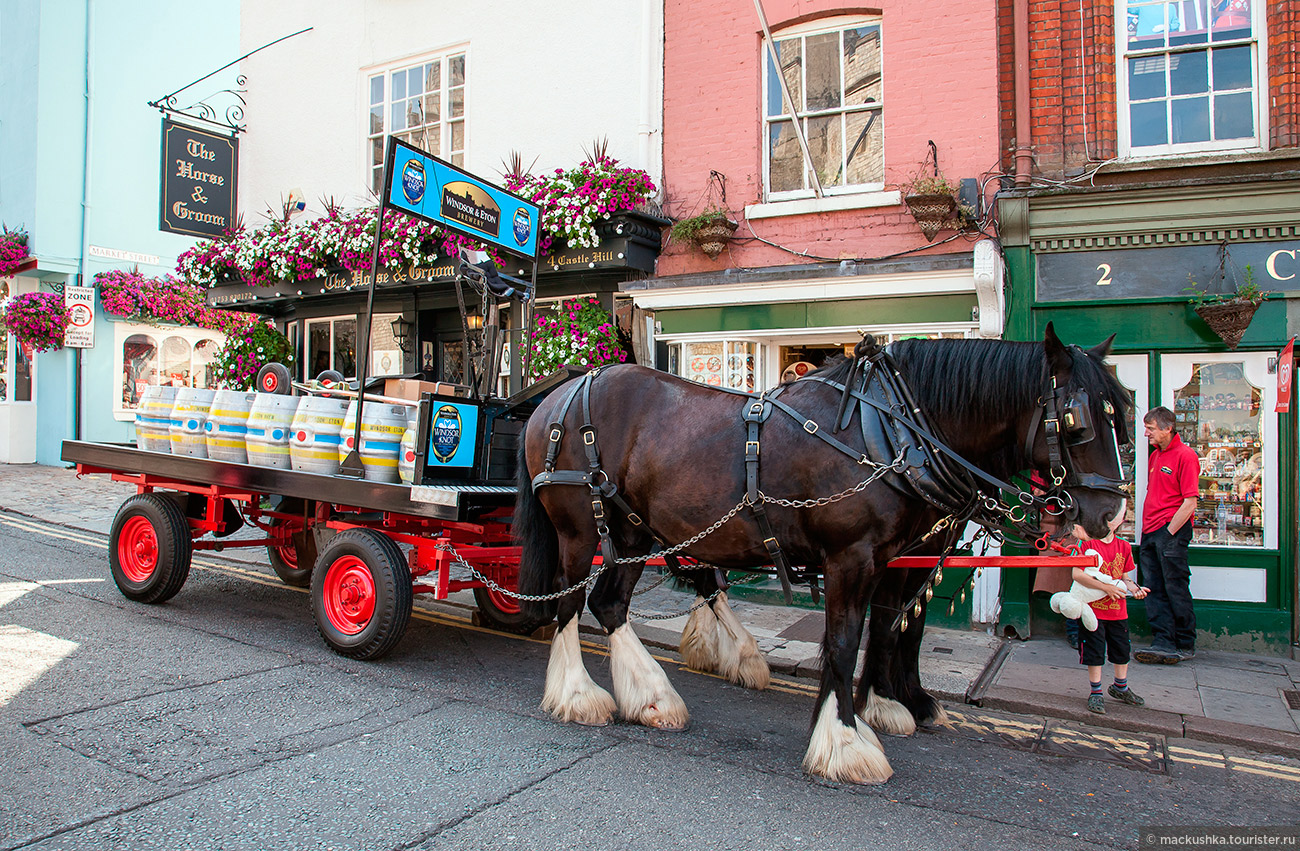 Windsor